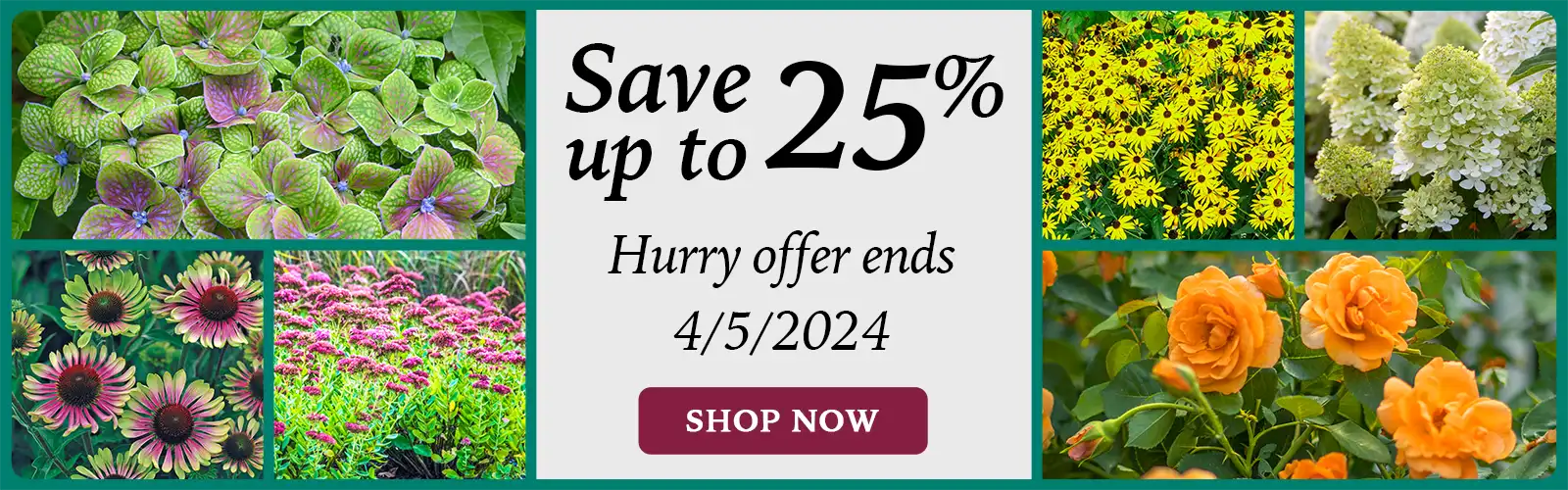 Save Up To 25 On Spring Plants