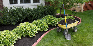 Garden Cardio—Feel the Burn!