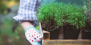 GET OUTSIDE AND PLAY…IN THE GARDEN!