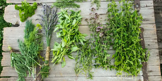 How to make your own Herbal Tea