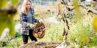 November Gardening Reminders