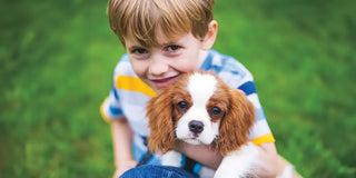 Six Tips for a Dog-Friendly Garden