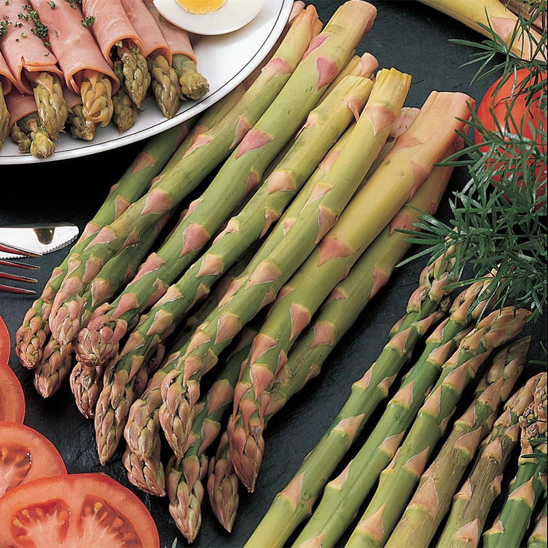 Mary Washington Asparagus