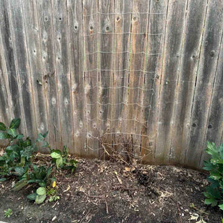 5'x15' Soft Mesh Clematis Trellis