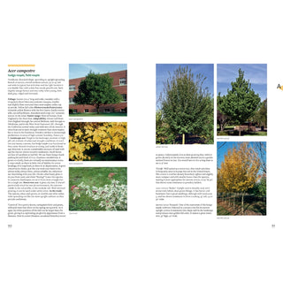 Tree Book: Superior Selections for Landscapes, Streetscapes, and Gardens 