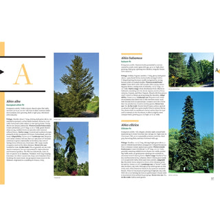 Tree Book: Superior Selections for Landscapes, Streetscapes, and Gardens 
