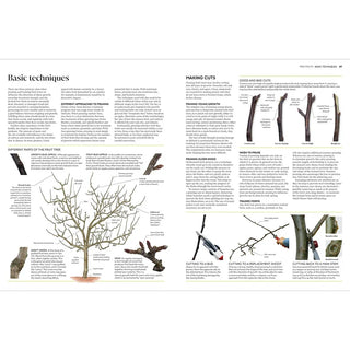Pruning And Training: What, When and How To Prune