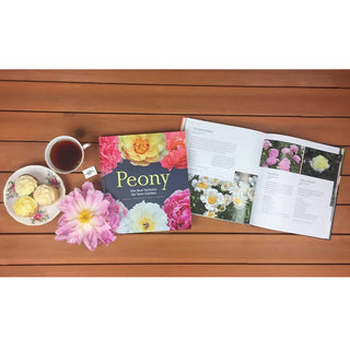 Peony: The Best Varieties for Your Garden