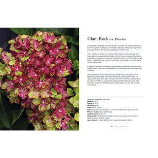 Hydrangeas: Beautiful Varieties for Home and Garden
