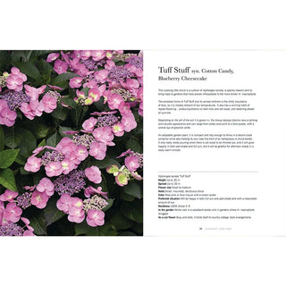 Hydrangeas: Beautiful Varieties for Home and Garden