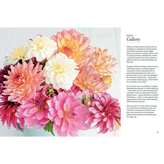 Dahlias: Beautiful Varieties for Home & Garden