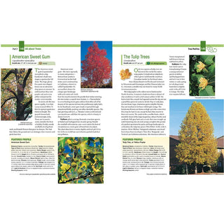 Trees, Shrubs & Hedges for Your Home