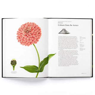 The Story of Flowers: And How They Changed the Way We Live