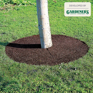 Coco Fiber Tree Rings