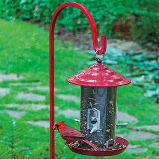 Raspberry Red Feeder