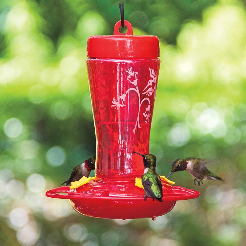 The Perfect Hummingbird Feeder