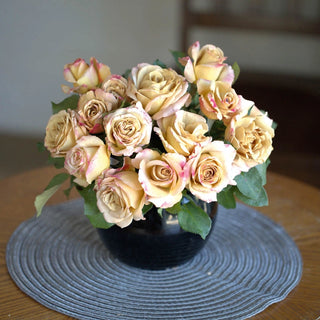 Honey Dijon™ Grandiflora Rose
