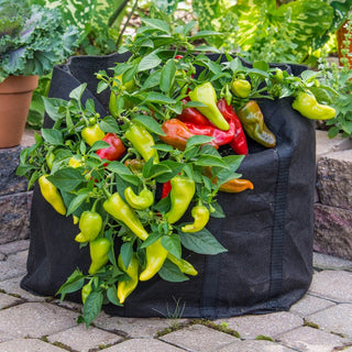 Grow Tub™ 15 Gallon