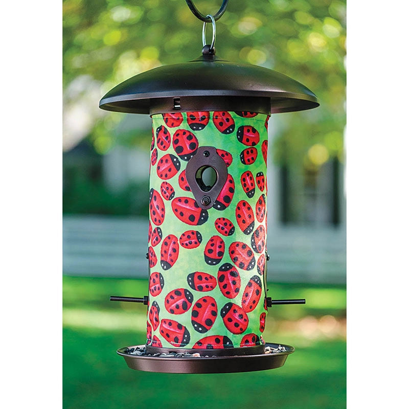 Lady Bug Bird Feeder