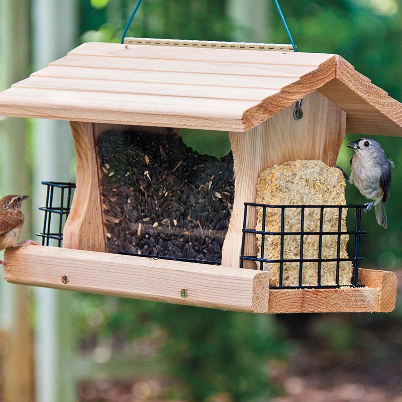 All-in-One Deluxe Feeder