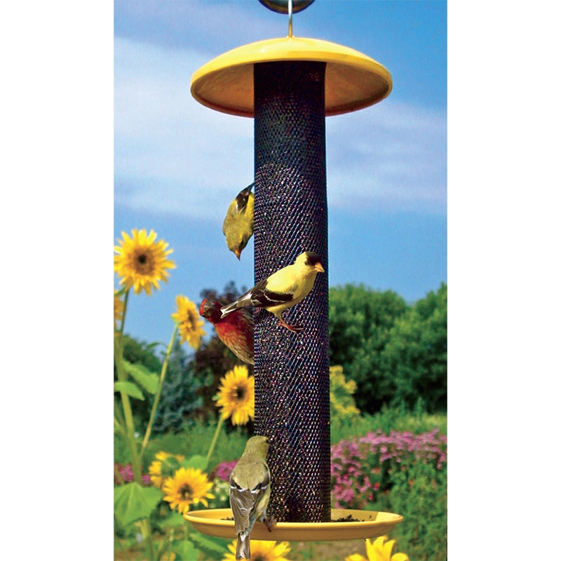 Nyjer Gold Finch Feeder