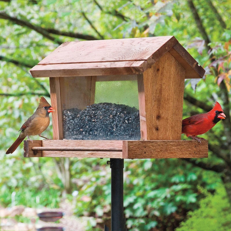 Backyard Basics Hopper Feeder – Spring Hill Nurseries