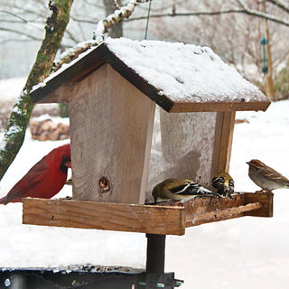 Backyard Basics™ Hopper Feeder