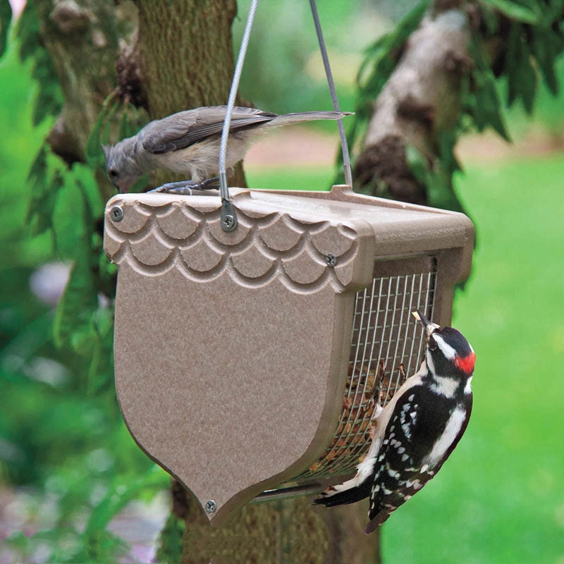 Acorn Peanut Feeder