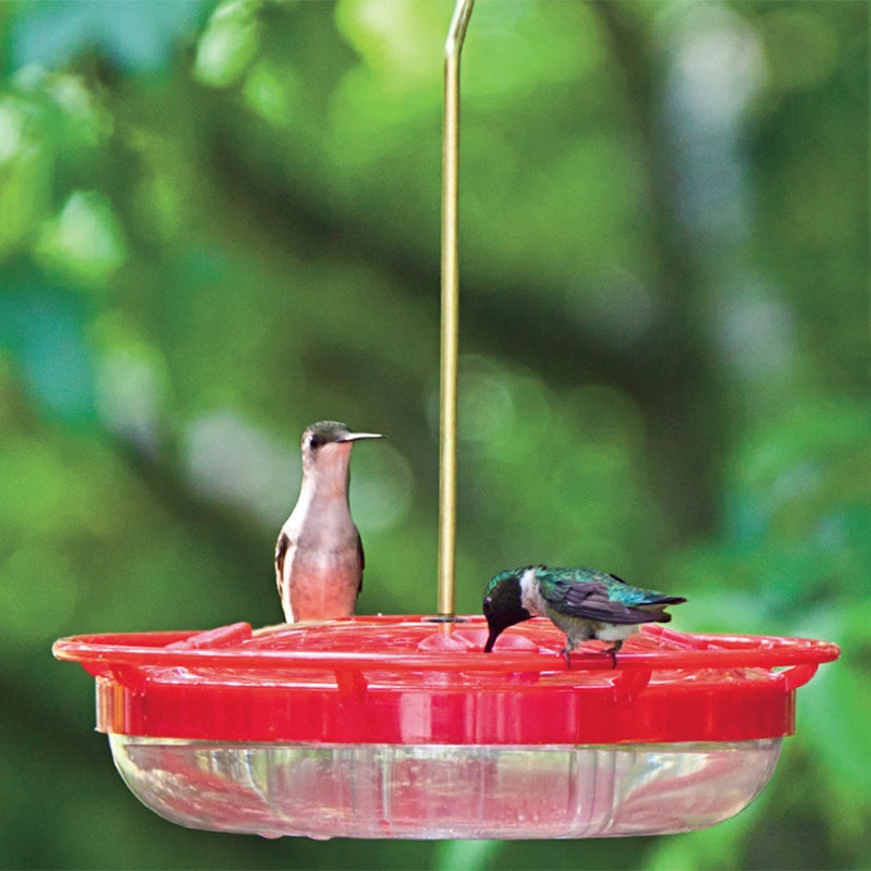 High Perch Hummingbird Feeder