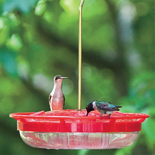High Perch Hummingbird Feeder