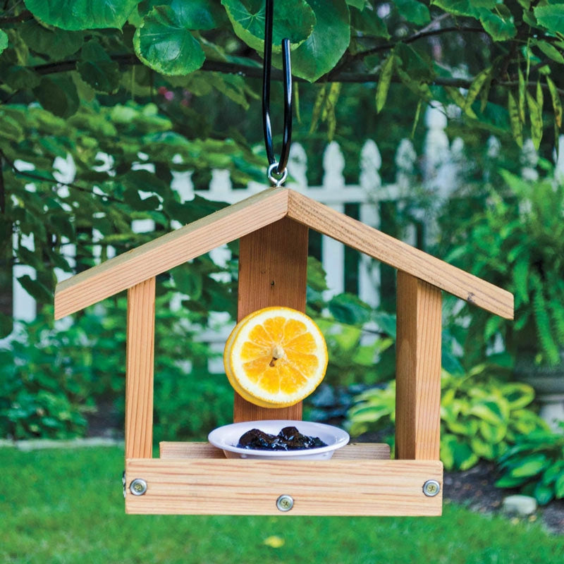 Oriole Orange &amp; Jelly Feeder