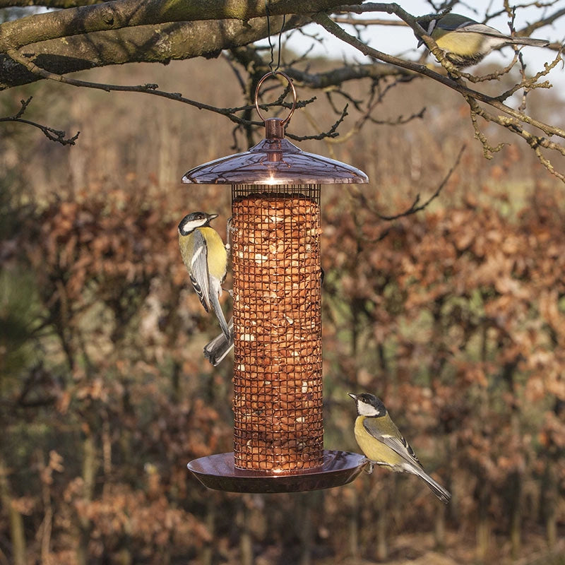 Buy BRIGHT BIRDFEEDER