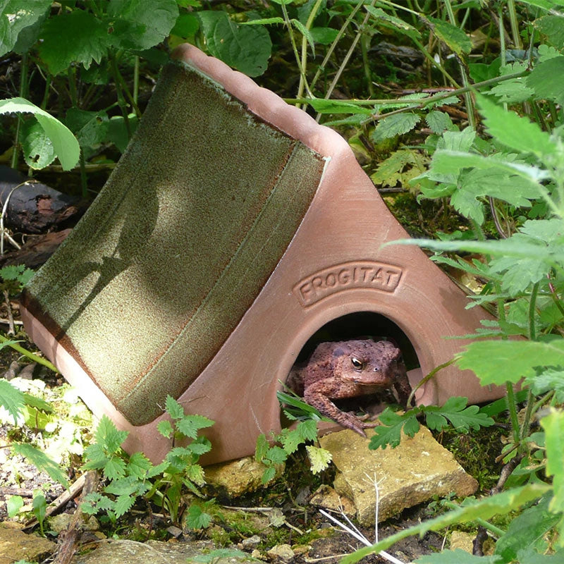 Toad Abode