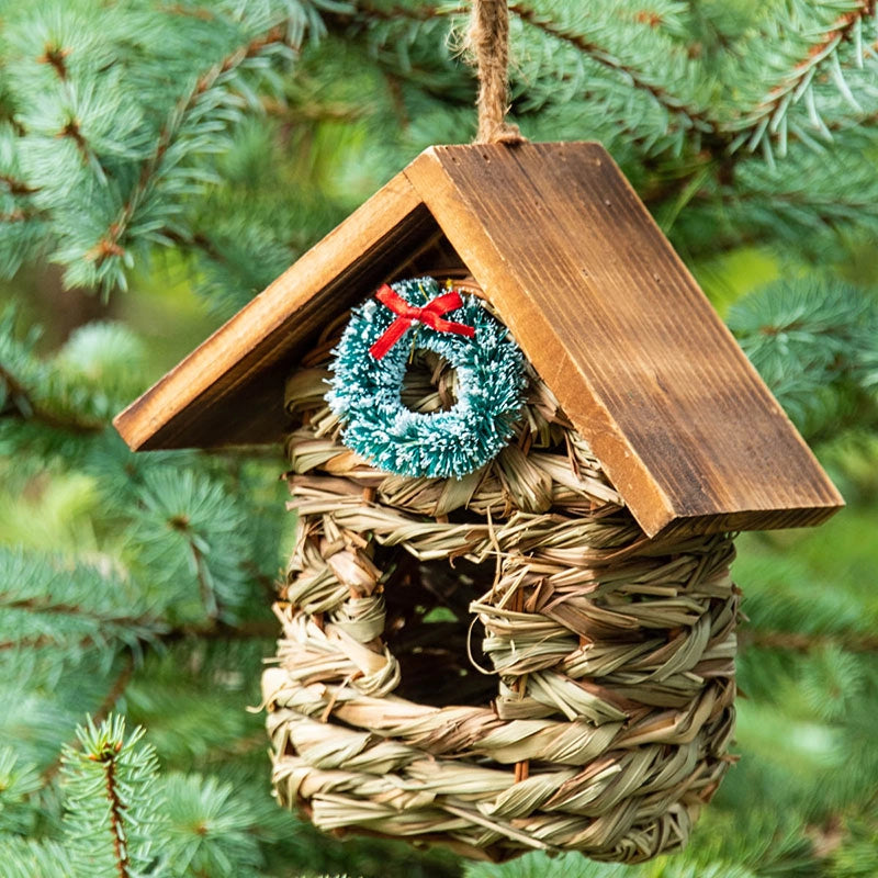 Feathered Friends Holiday Hideaway