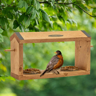 WellBuilt™ Fruit and Grub Feeder