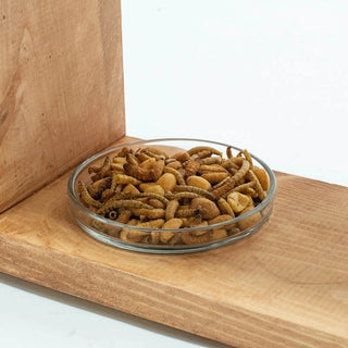 WellBuilt™ Fruit and Grub Feeder