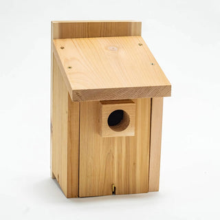 Basic Bluebird House