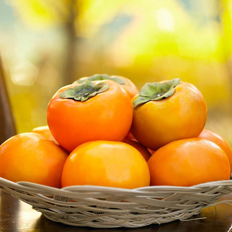 Izu Persimmon