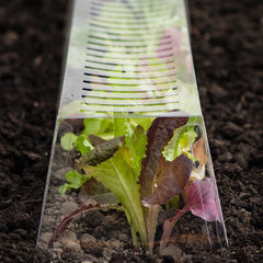 plastic row covers for plants GrowAway Row Covers | Shop Gardening Tools