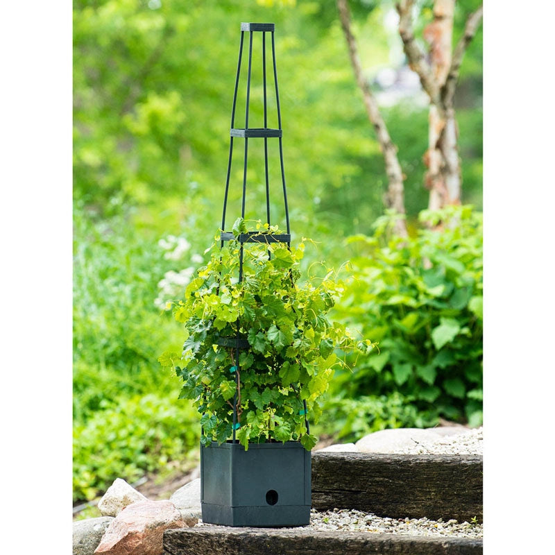 tower pots for climbing plants Self Watering Plant Tower