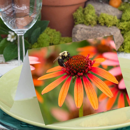Spring Hill Nurseries® Note Cards