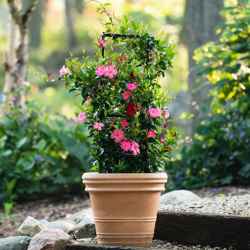 flower pot plant supports Plant Support Kit