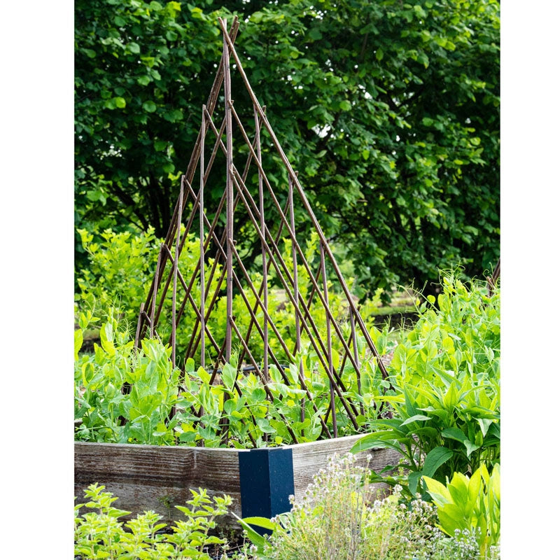 wood teepee trellis Willow Teepee Plant Support