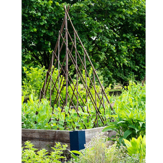 Willow Teepee Plant Support