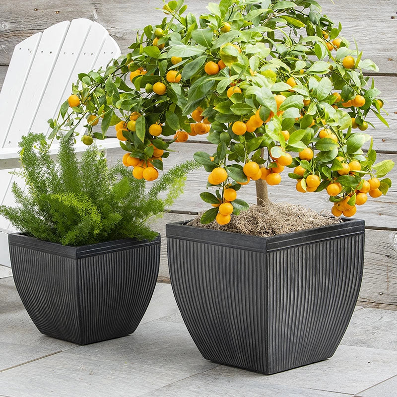 faux lead plant pots Classic Faux Lead Planter Set/2
