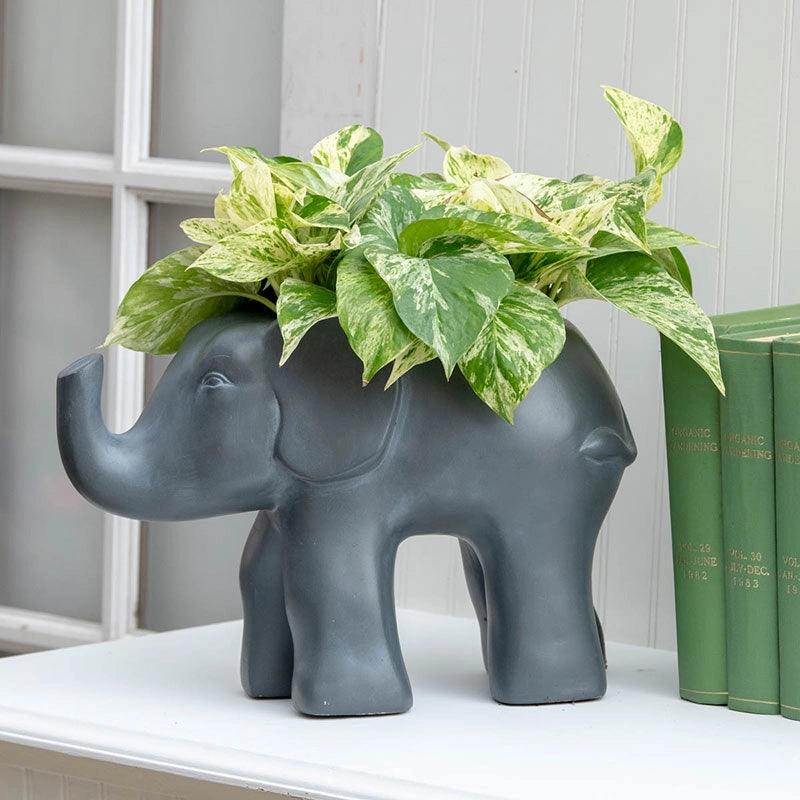 succulent elephant pot Good Fortune Elephant Planter