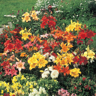 Three Seasons of Beauty Garden