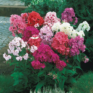 Three Seasons of Beauty Garden