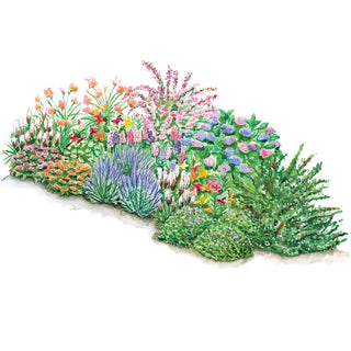 Three Seasons of Beauty Garden