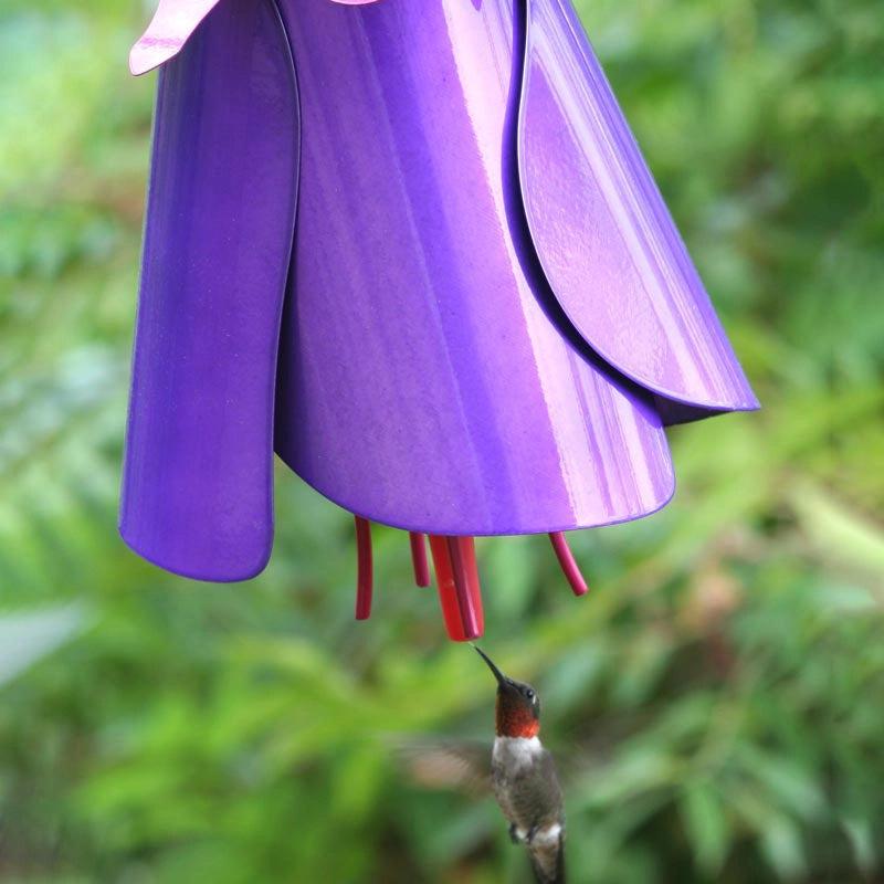 hanging planter hummingbird feeder Fuchsia Hummingbird Feeder